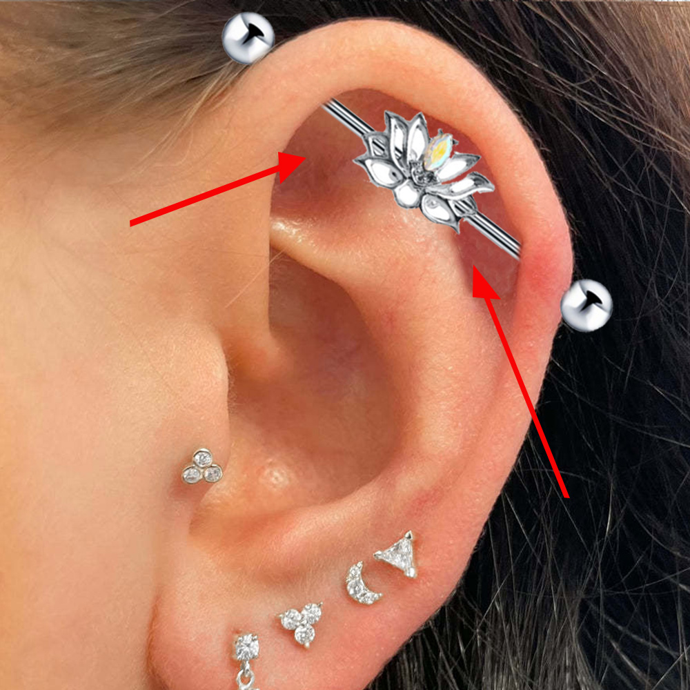 1PC Surgical Steel Industrial  - Body Jewelry Trend のレビューと価格