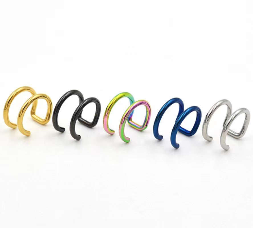 2Pcs 316L Stainless Steel Clip - Body Jewelry Ear のレビューと価格