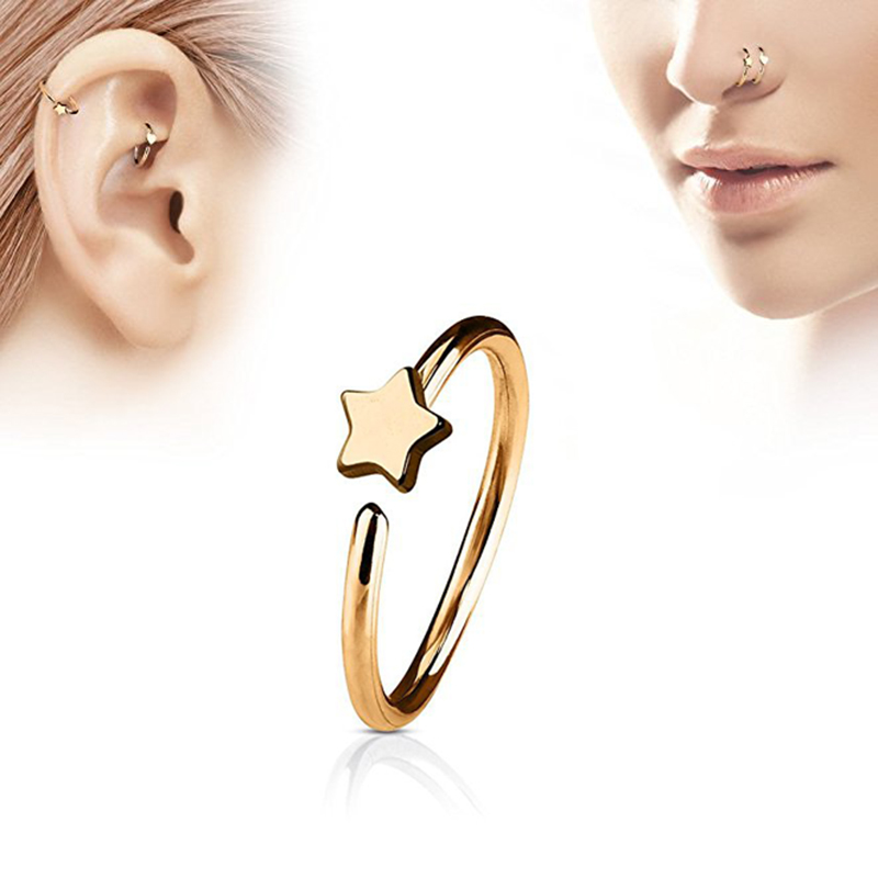 1Pcs Stainless Steel Star Nose - Body Jewelry Ear のレビューと価格
