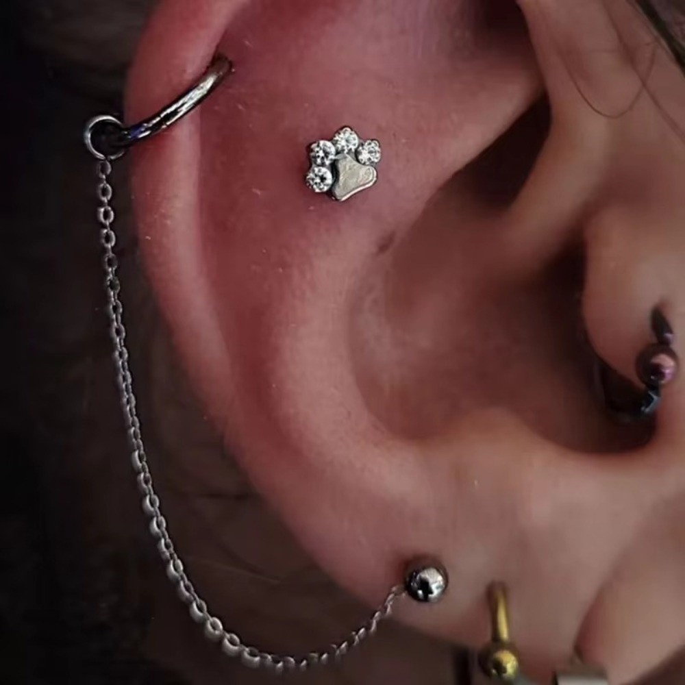 Titanium Nose Chain Double Cha - Body Jewelry Ear のレビューと価格
